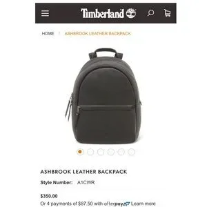ASHBROOK TIMBERLAND LEATHER BACKPACK Legends 33-Liter Backpack main image 4